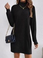 Casual Ribbed Turtleneck Long Sleeve Mini Dress
