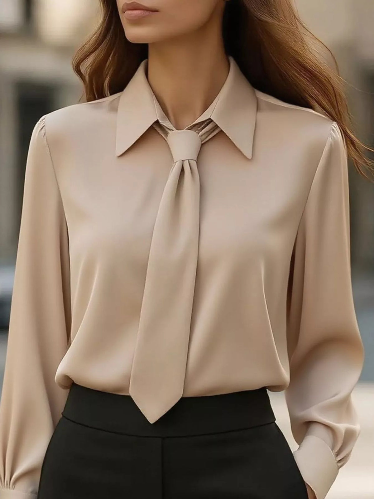 Collared Neck Long Sleeve Blouse