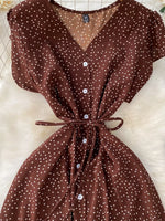 Polka Dot Button-Down Dress