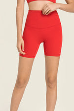 Millennia Seamless High-Rise Wide Waistband Biker Shorts - Ladyez