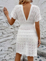 Openwork Plunge Short Sleeve Cover-Up Dress - Ladyez