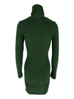Turtleneck Ribbed Bodycon Mini Dress