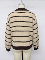 Striped Knit Polo Sweater