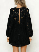 Lace V-Neck Long Sleeve Mini Dress - Ladyez