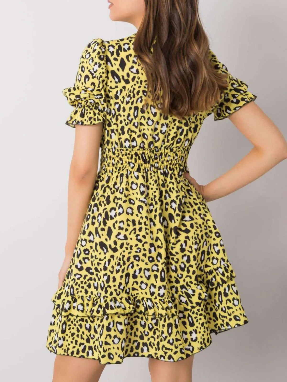 Leopard Print Tie Front Short Sleeve Mini Dress