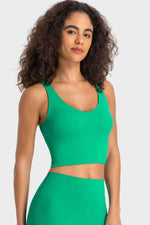 Deep V-Neck Crop Sports Bra - Ladyez