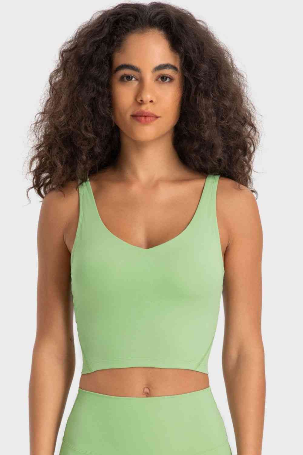 Deep V-Neck Crop Sports Bra - Ladyez