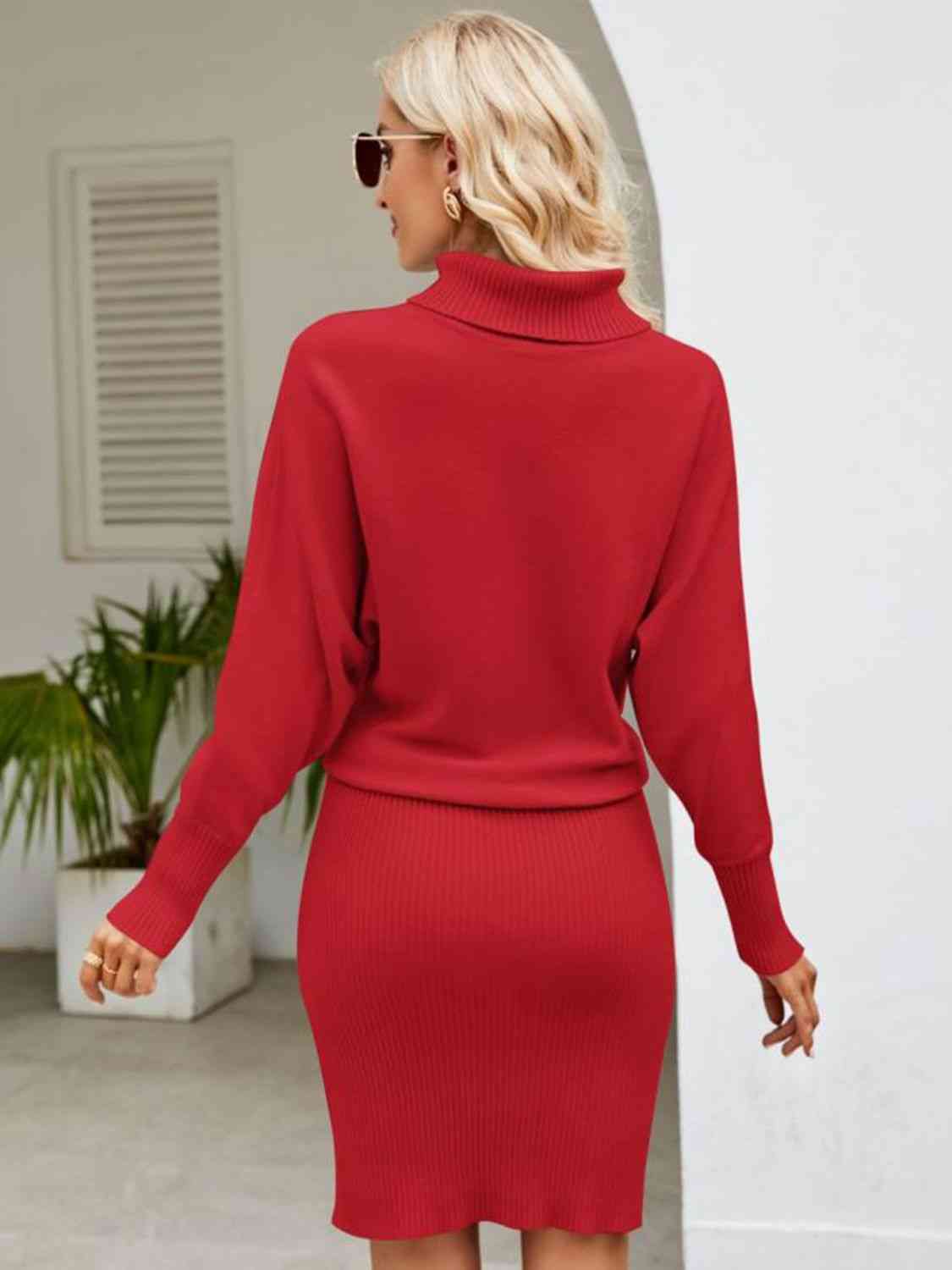 Turtle Neck Long Sleeve Ribbed Sweater Dress - Ladyez