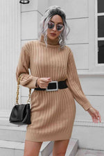 Ribbed Turtle Neck Long Sleeve Mini Sweater Dress - Ladyez
