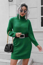 Ribbed Turtle Neck Long Sleeve Mini Sweater Dress - Ladyez