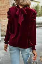 Tie Up Mock Neck Velvet Fabric Long Sleeve Blouse - Ladyez