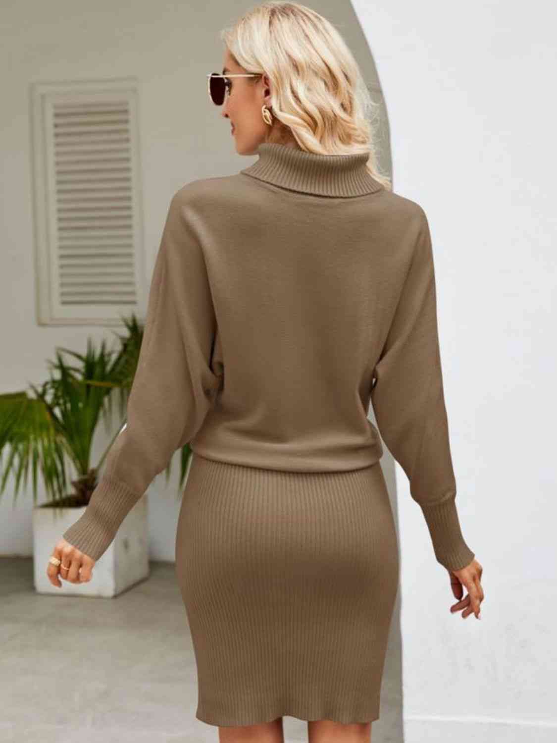 Turtle Neck Long Sleeve Ribbed Sweater Dress - Ladyez