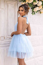 Halter Neck Backless Mesh Dress - Ladyez