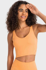 Deep V-Neck Crop Sports Bra - Ladyez