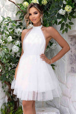 Halter Neck Backless Mesh Dress - Ladyez