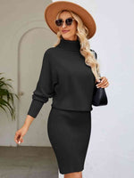 Turtle Neck Long Sleeve Ribbed Sweater Dress - Ladyez