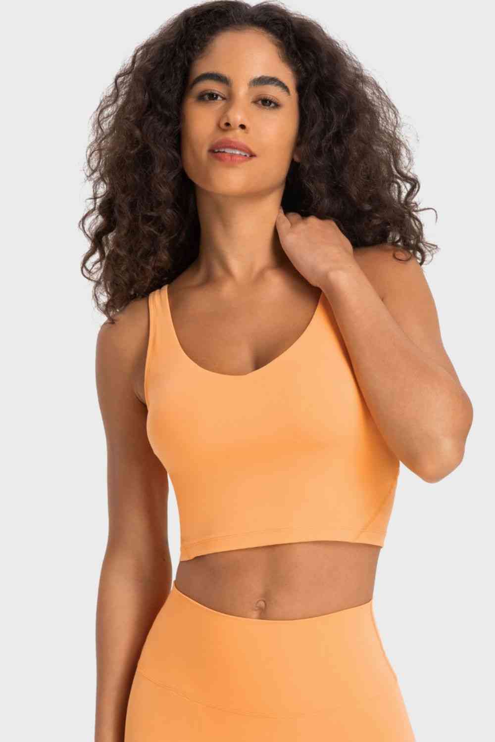 Deep V-Neck Crop Sports Bra - Ladyez