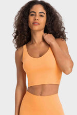 Deep V-Neck Crop Sports Bra - Ladyez