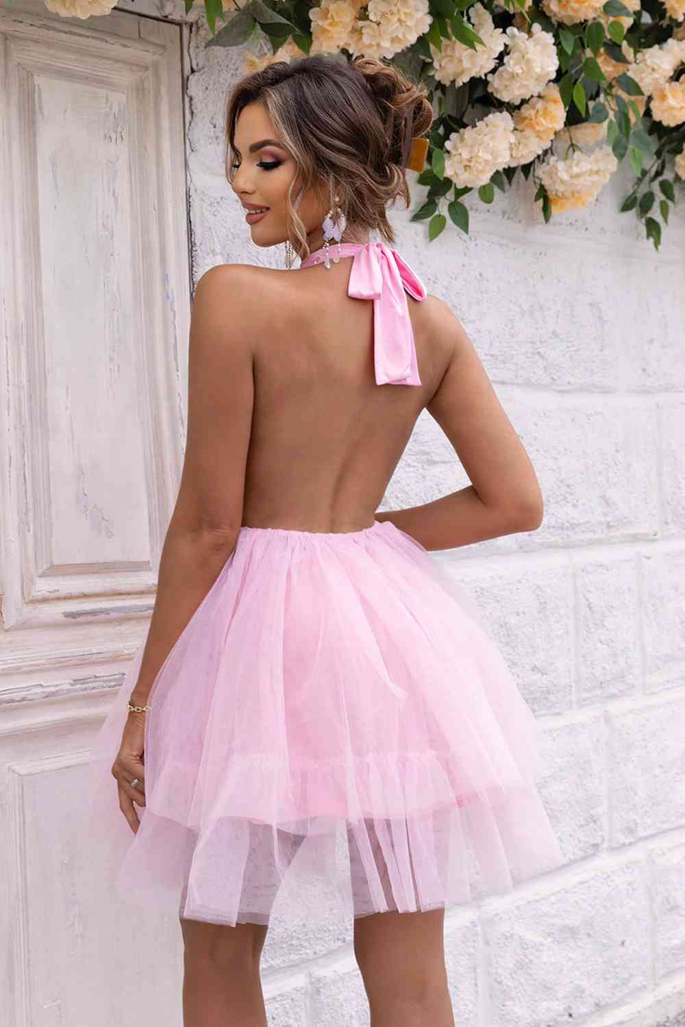 Halter Neck Backless Mesh Dress - Ladyez