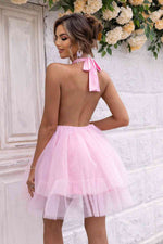 Halter Neck Backless Mesh Dress - Ladyez