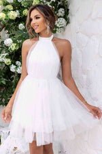 Halter Neck Backless Mesh Dress - Ladyez