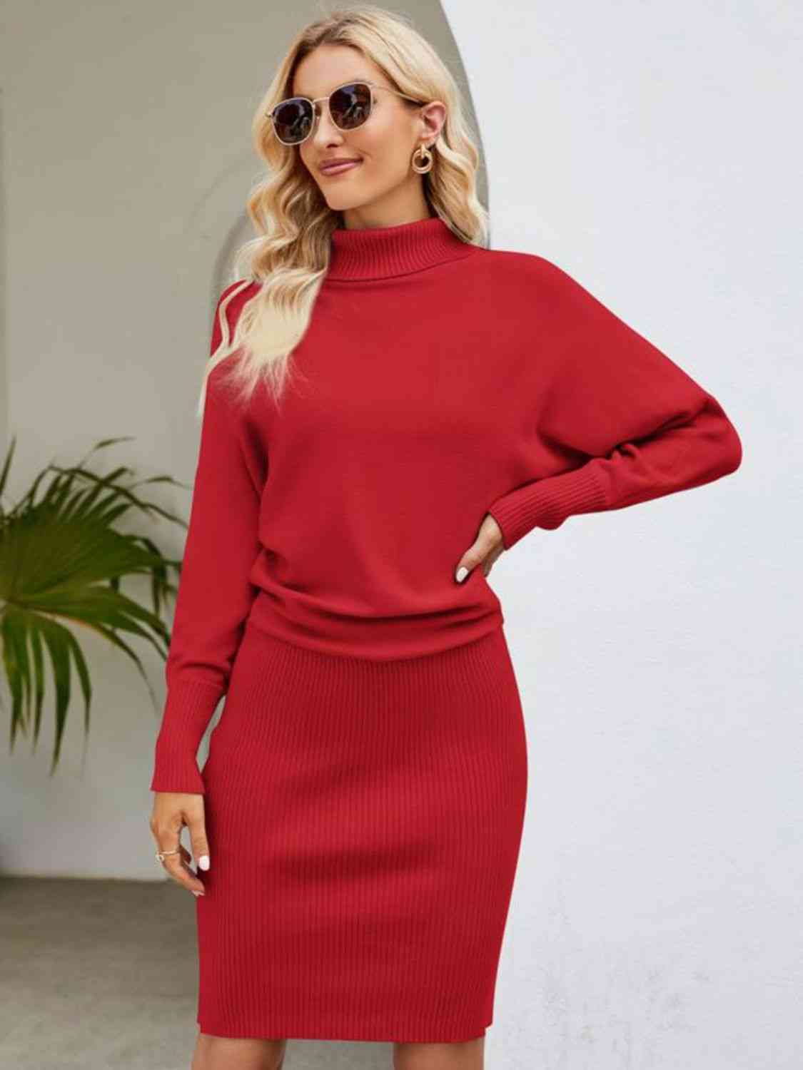 Turtle Neck Long Sleeve Ribbed Sweater Dress - Ladyez