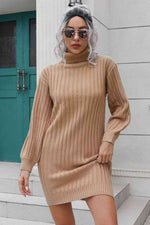 Ribbed Turtle Neck Long Sleeve Mini Sweater Dress - Ladyez