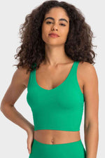 Deep V-Neck Crop Sports Bra - Ladyez