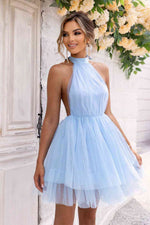 Halter Neck Backless Mesh Dress - Ladyez