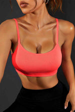 Backless Sports Cami - Ladyez